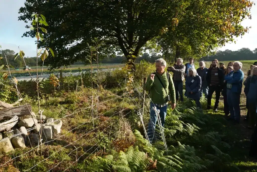 Bei einer Exkursion mit Dr. Johannes Hets zum Gut Wulfsdorf wurde deutlich, wie durch gezielte Pflege und Sanierung von Knicks nicht nur Artenvielfalt und CO₂-Bindung gestärkt, sondern auch Schüler:innen aktiv in Naturschutzarbeit einbezogen werden können. 