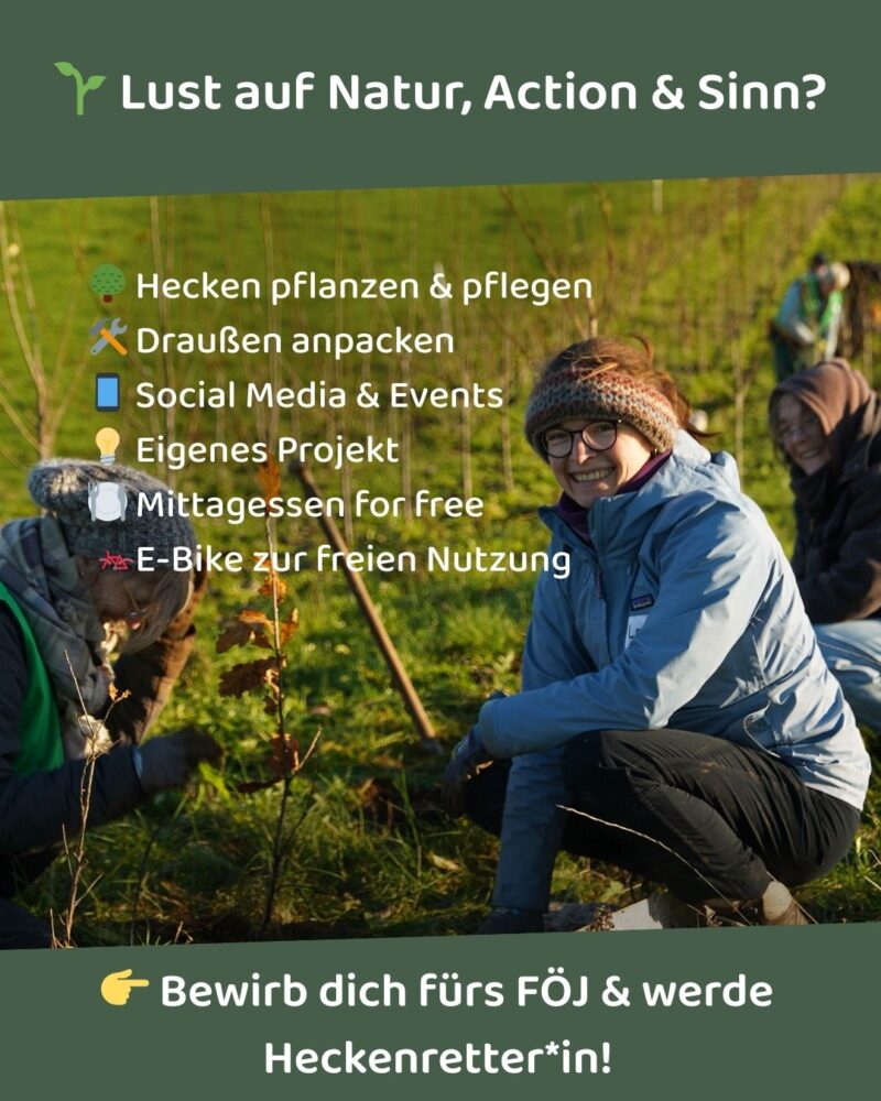 Anpacken im FÖJ - das erwartet dich beim Heckenretter e.V: