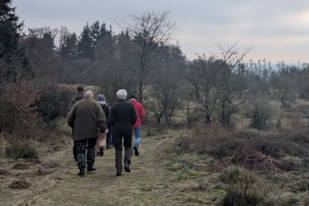 Die Exkursion zur kulturhistorischen Bedeutung von Knicks ist Teil eine Reihe von Veranstaltungen unseres Kooperations-Projektes KNICKWERT in Trägerschaft des Naturparks Hüttener Berge