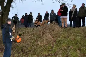 Der Knickbotschafter von Schleswig Holstein, Heiner Staggen, demonstrierte anschaulich mithilfe eines „Buschreißers“ die historische Pflege der Knicks.