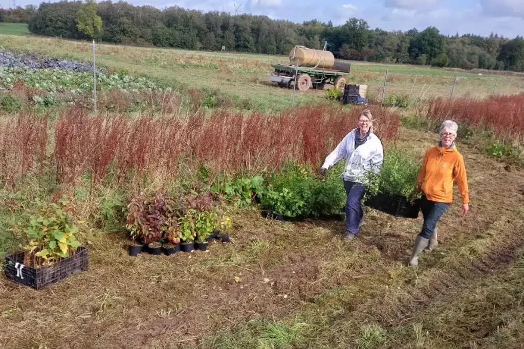 Pflanzaktion-2025-10-12_Neverstaven_Kattendorfer-Hof_Pflanzgut-Annahme_(c)Alexandra-Werdes_signal-2025-10-10-192759_003