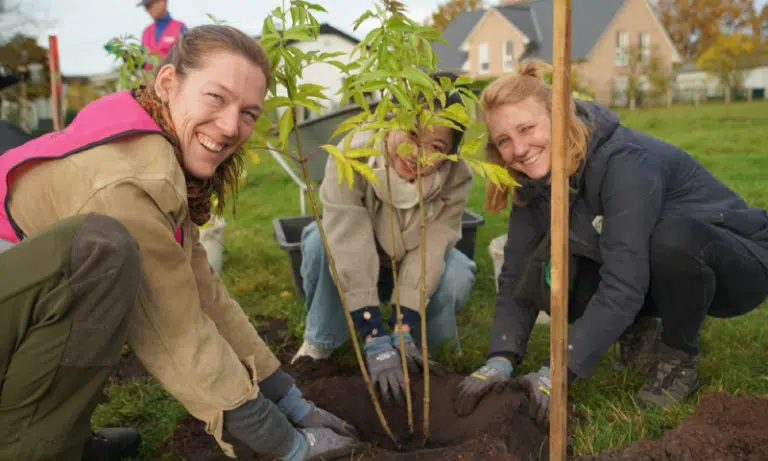 Freiwillige pflanzen Sträucher in der Stadt und schauen fröhlich in die Kamera