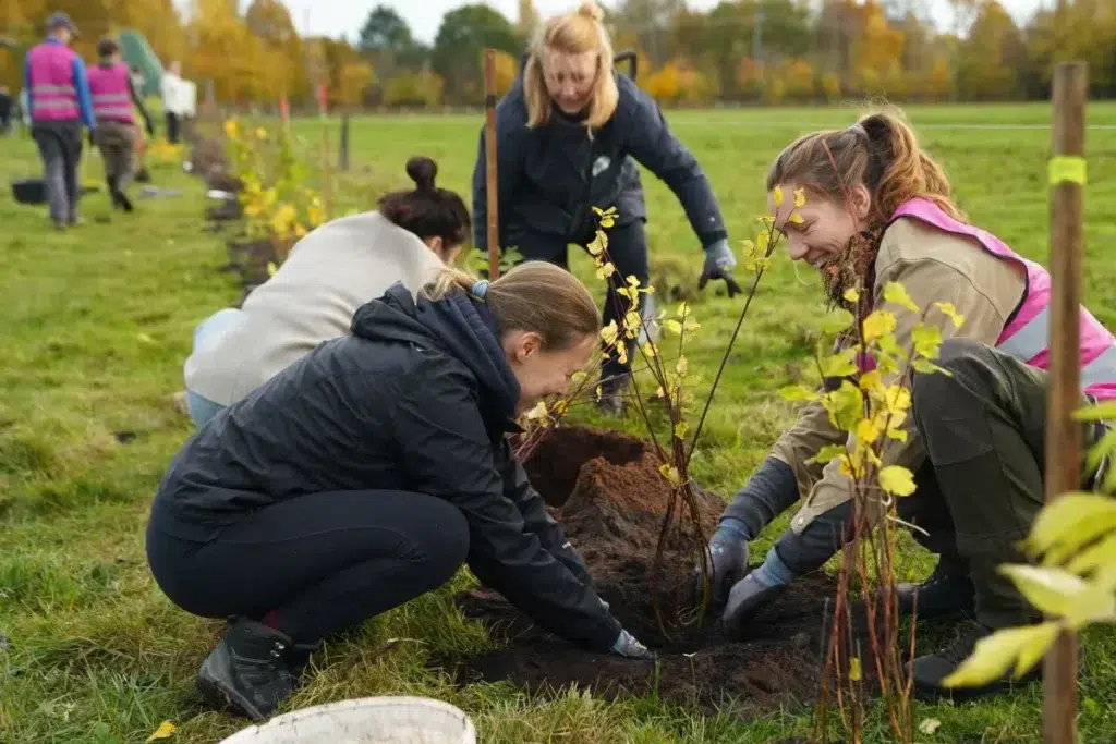 ...eine Futterlaubhecke für die Rinder von Thorsten Quast in Ellerbek.