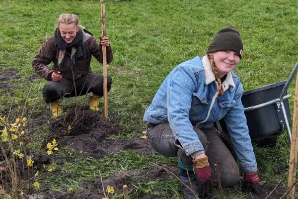 Naturschutz zum anpacken - FÖJ beim Heckenretter e.V:
